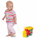 Winfun Animal Sounds Train pull-along educational toy (British brand)