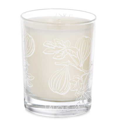 Harrods Fig Mossi Scented Candle in Glass 190g- Buy online at McGrocer