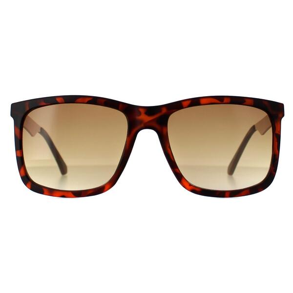 Guess GF0171 brown gradient men's sunglasses (British brand)