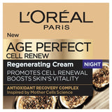 L'Oreal Paris Cell Renew Night Cream For Wrinkles Firmness And Vitality   50ml