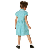 M&S Cotton Gingham School Dresses 3-10 Years Green GOODS M&S   