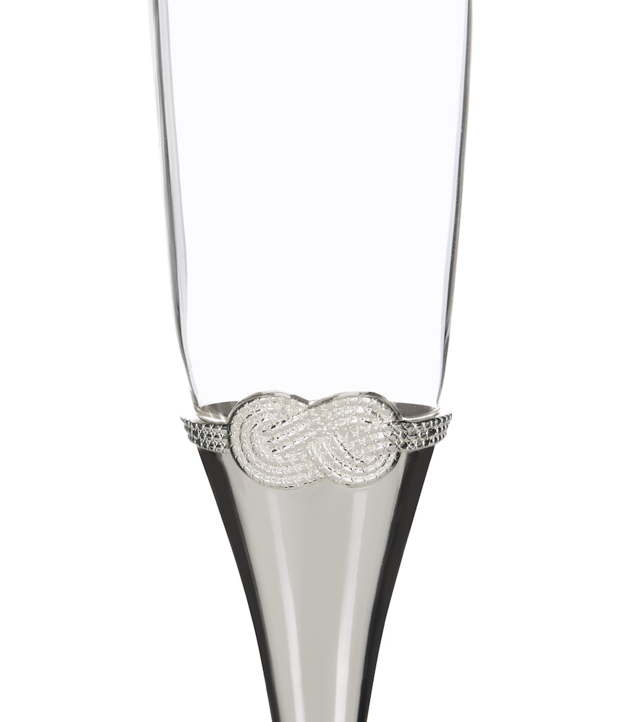 Wedgwood Vera Wang Infinity champagne flutes set of 2, UK version