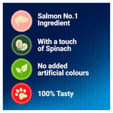 Felix Naturally Delicious Salmon Cat Treats    50g GOODS M&S   