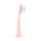 Ordo Sonic+ Brush Heads - Rose Gold   4 per pack GOODS M&S   