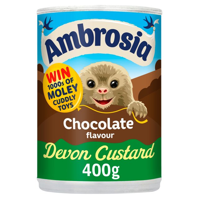 Ambrosia Chocolate Custard Can   400g GOODS M&S   