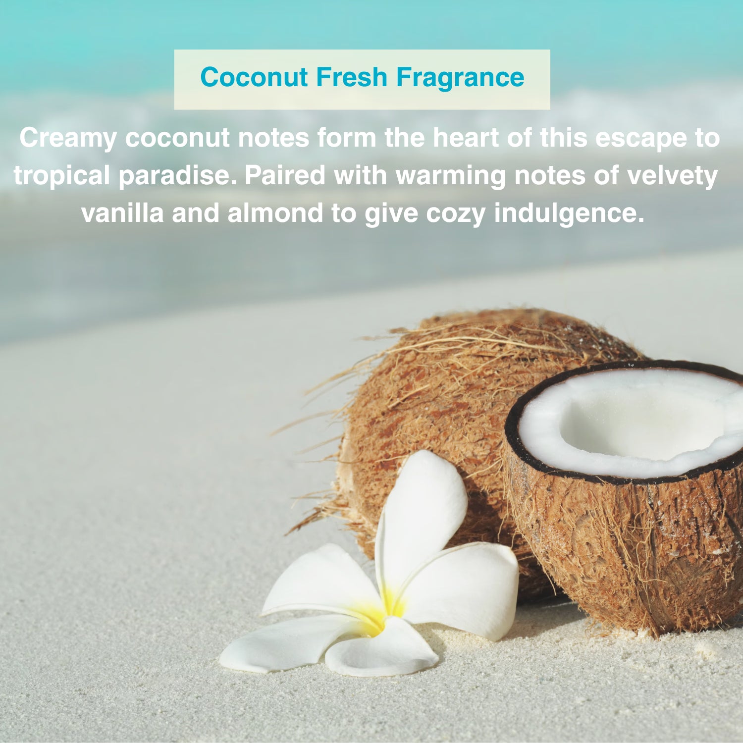 KinKind natural deodorant refill coconut fresh, imported from the UK