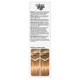 Clairol Colour Gloss Up Conditioner Toasted Almond Blonde GOODS M&S   