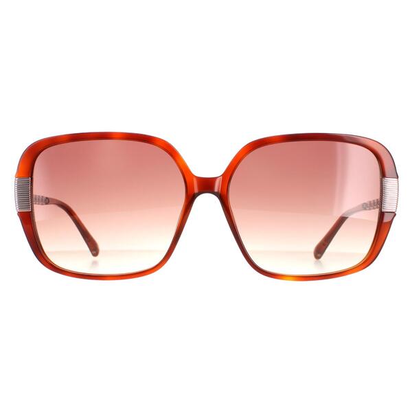 Ted Baker Indi brown gradient sunglasses (British brand)