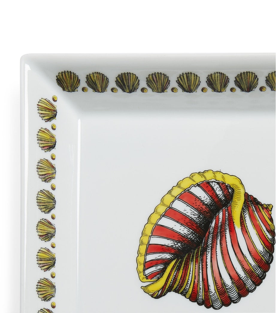 Fornasetti Giro di Conchiglie shell decorative plate 20cm, imported from the UK