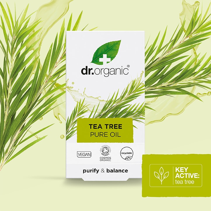 Dr Organic Tea Tree Pure Oil 10ml Tea Tree Oil Holland&Barrett   