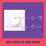 WiZ Smart Dial Switch White - British product