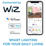 Philips smart LED filament bulb ST64 B22, imported from the UK