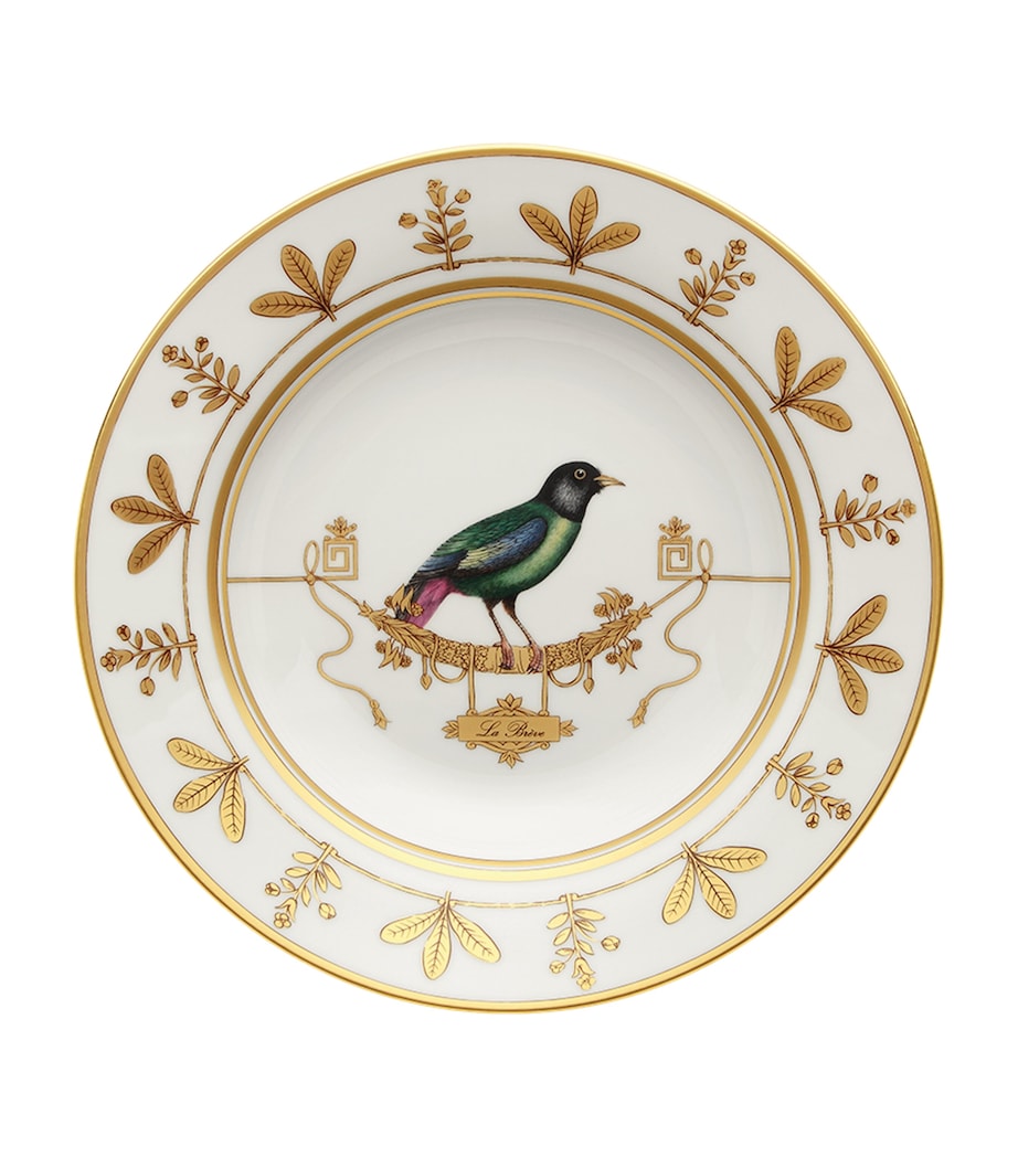 Ginori 1735 Volière La Brève soup plate 24.5cm, UK version