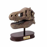Buki Tyrannosaurus dinosaur skull kit - British product