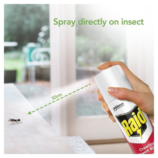 Raid Plant Based Crawling Insect Killer Aerosol Spray   300ml GOODS M&S   