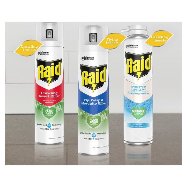 Raid Plant Based Crawling Insect Killer Aerosol Spray   300ml GOODS M&S   