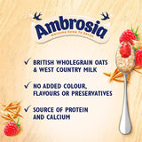 Ambrosia Ready To Eat Porridge with Raspberry Layer   210g GOODS M&S   