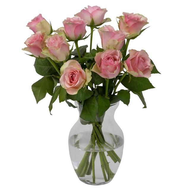 Pale Pink Roses GOODS M&S   