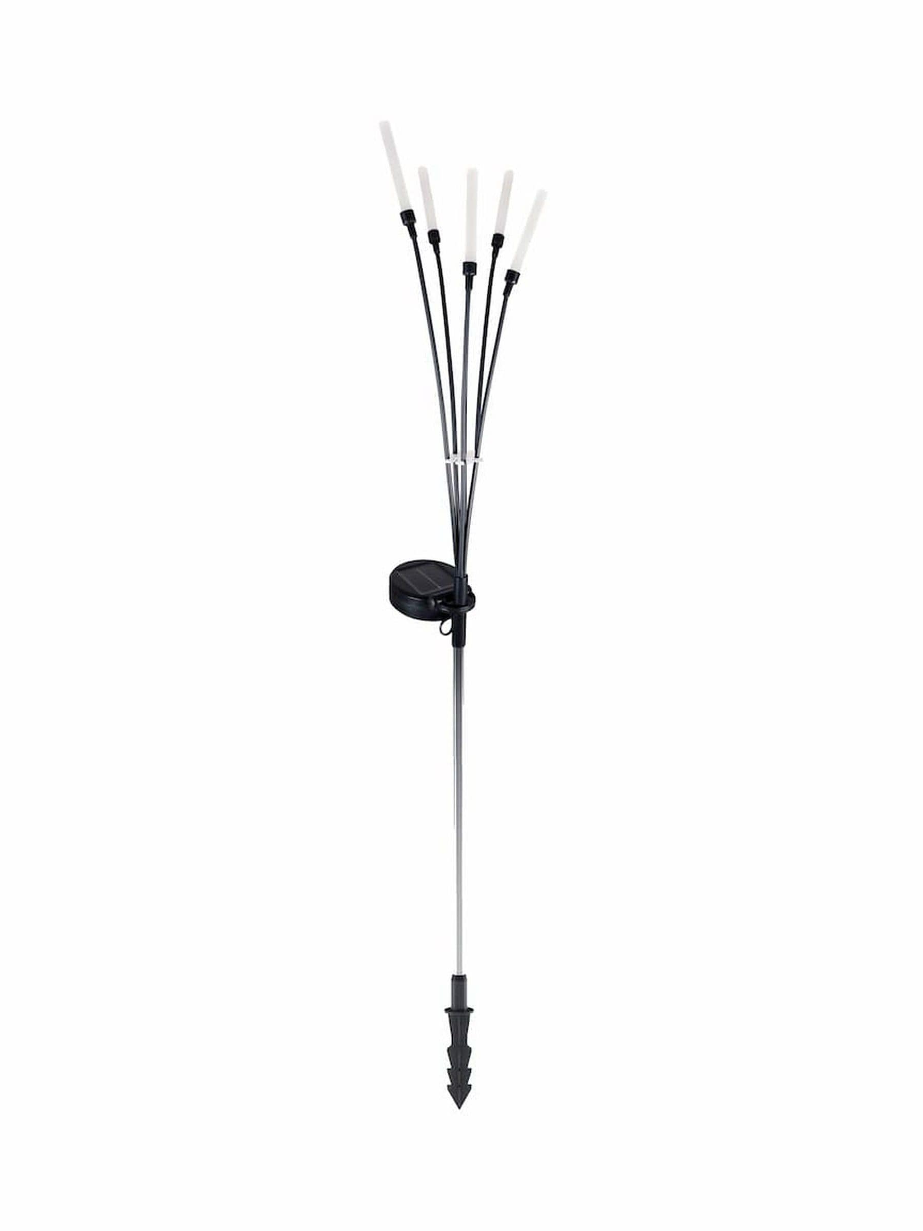 The Solar Centre Willow Wisp solar reed light, imported from the UK