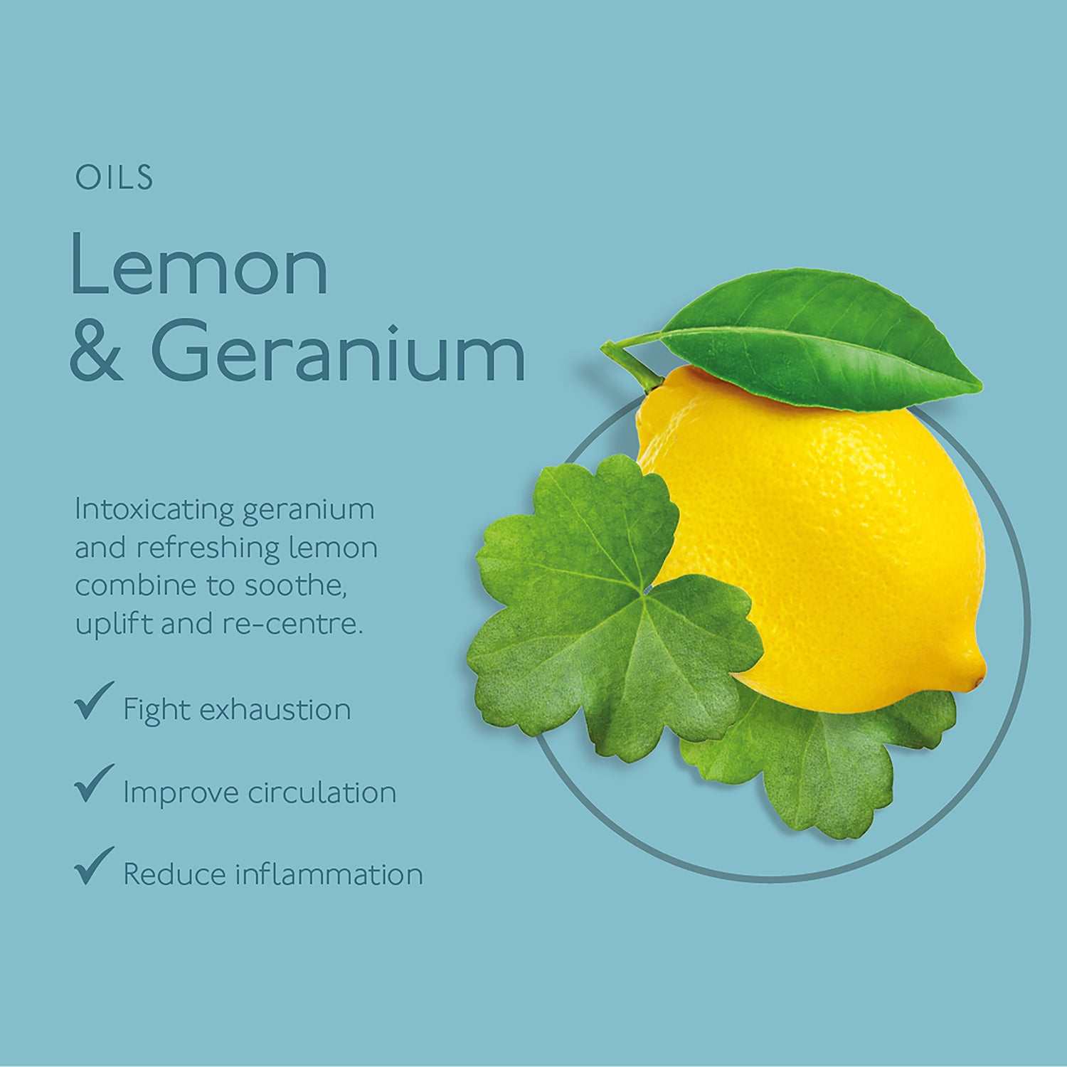 Mindful Hand Wash Lemon & Patchouli 250ml, UK version