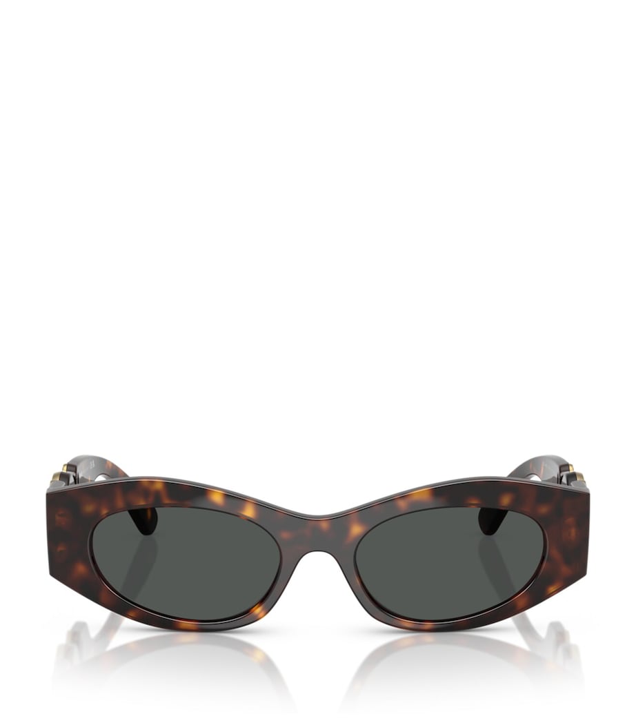 Versace acetate oval sunglasses (British brand)
