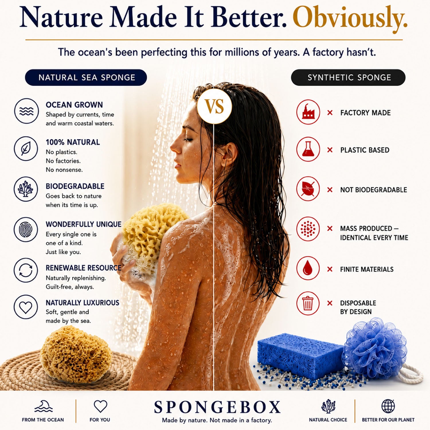 SpongeBox natural sea sponge 6-6.5 inches imported from the UK