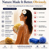 SpongeBox natural sea sponge 6-6.5 inches imported from the UK