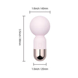 Honey Play Box Pokewan pocket mini vibrating wand massager, UK version