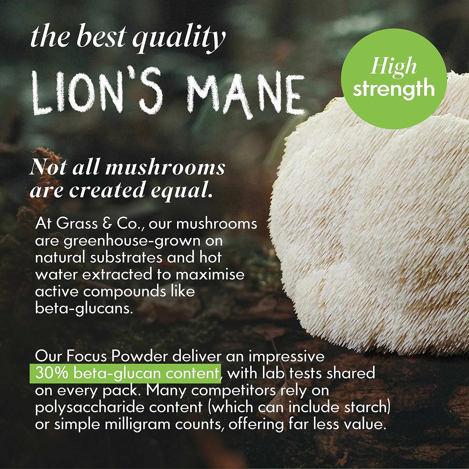Grass & Co. Lion's Mane Mushroom Powder 100g, UK version