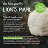 Grass & Co. Lion's Mane Mushroom Powder 100g, UK version