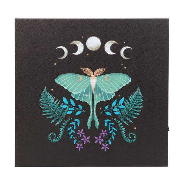 Something Different light up canvas luna moth 30cm (British brand)