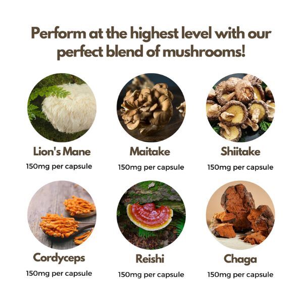 Nutripact multi mushroom complex 60 vegan capsules (British brand)