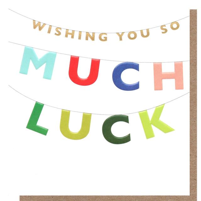 Caroline Gardner Wishing You So Much Luck Card GOODS M&S   