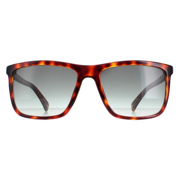 Ted Baker TB1663 Havna Brown sunglasses, imported from the UK