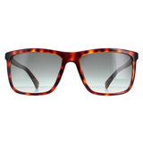Ted Baker TB1663 Havna Brown sunglasses, imported from the UK