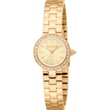 Just Cavalli Gold Ladies Glam Chic Serenita Watch - British product