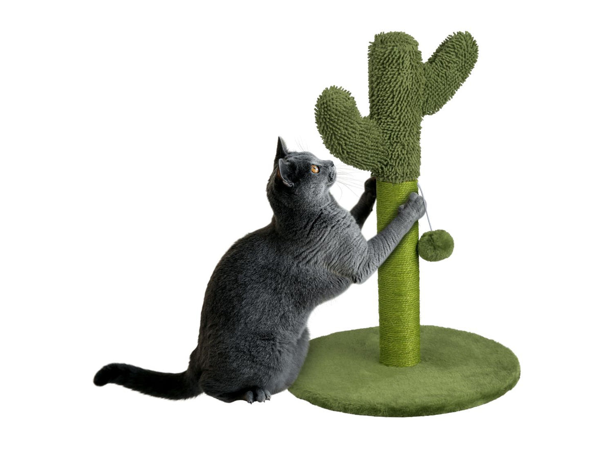 Cat scratching post cactus design 38x54cm, imported from the UK
