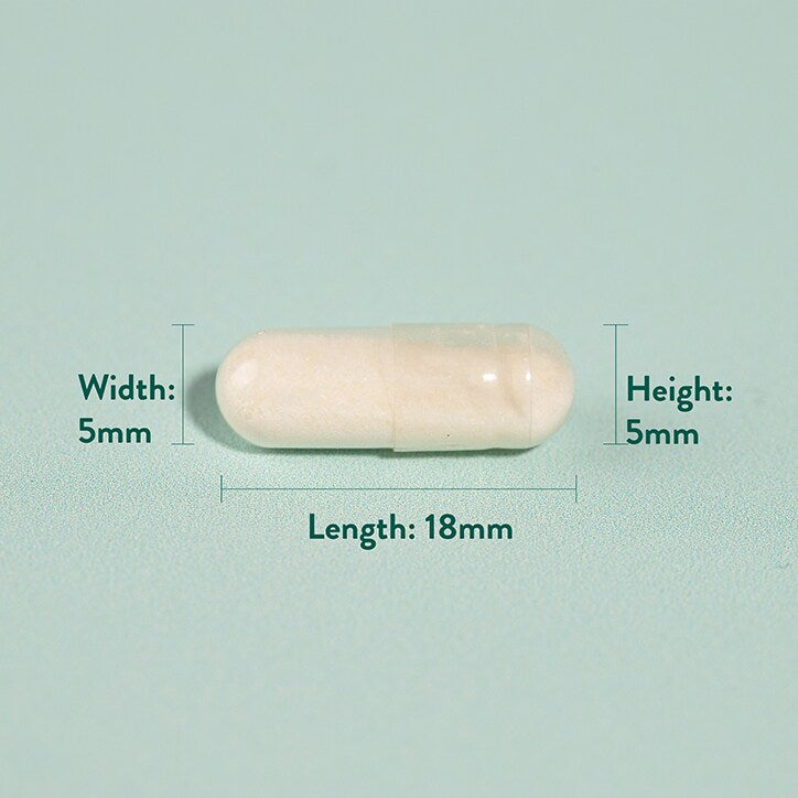 Holland & Barrett Potent Acidophilus (10 Billion)