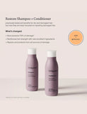 Restore Shampoo 236ml Haircare & Styling M&S   