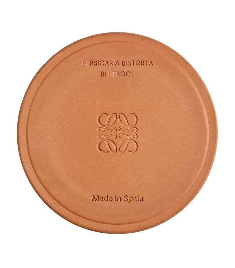 LOEWE Medium Beetroot Scented Candle, UK version