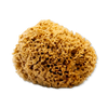SpongeBox Honeycomb Luxe natural sea sponge 5-5.5 inches (British brand)