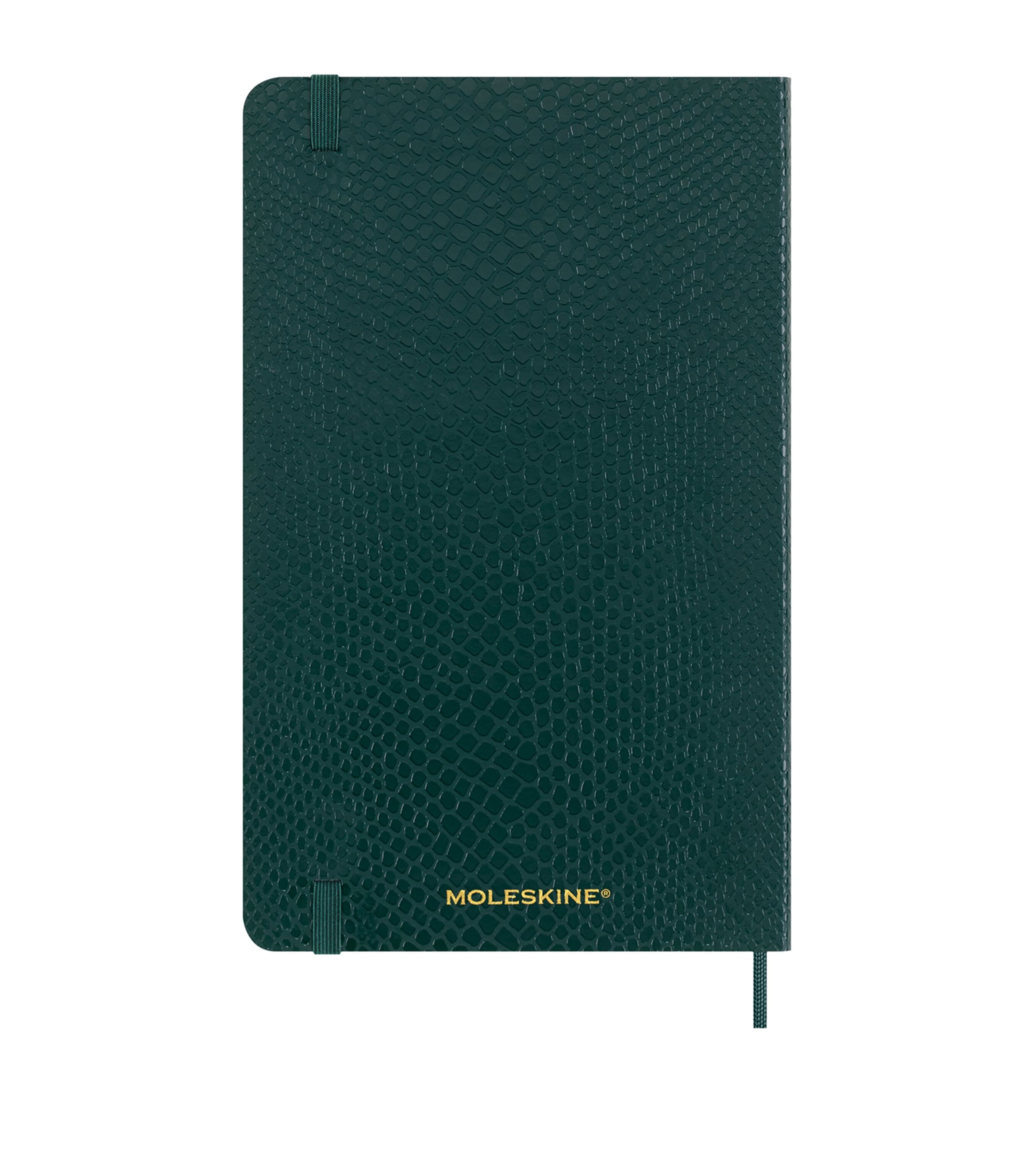 Moleskine Precious & Ethical Vegan Notebook, imported from the UK