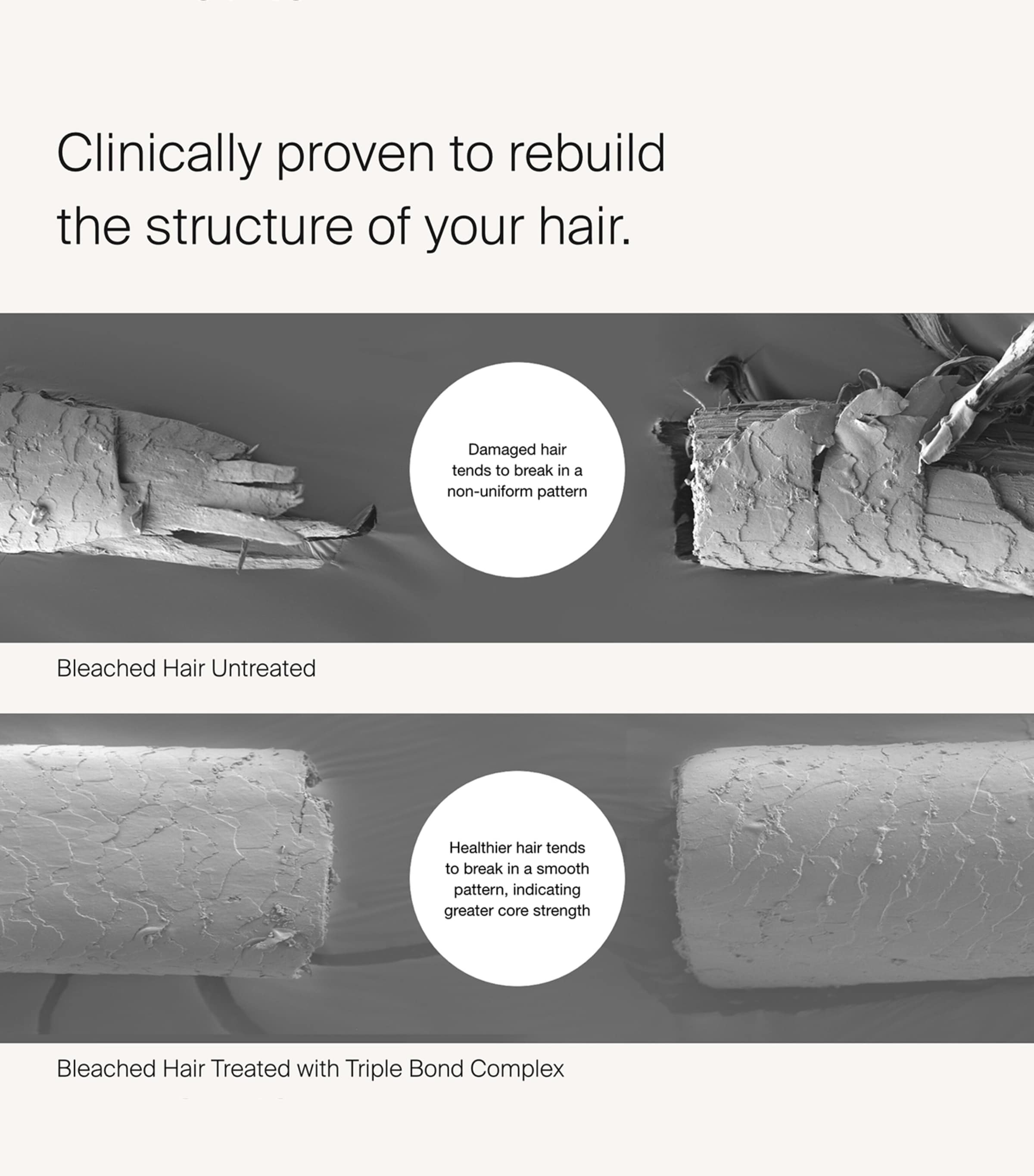 Living Proof Triple Bond Complex hair treatment 45ml, imported from the UK
