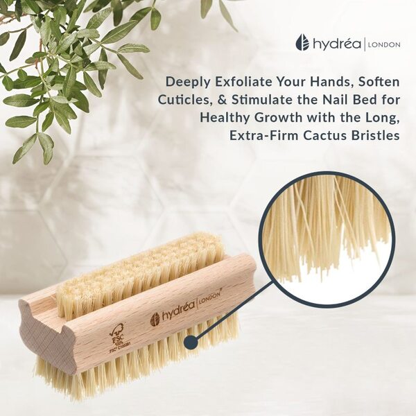 Hydréa London extra tough nail brush with cactus bristles (British brand)