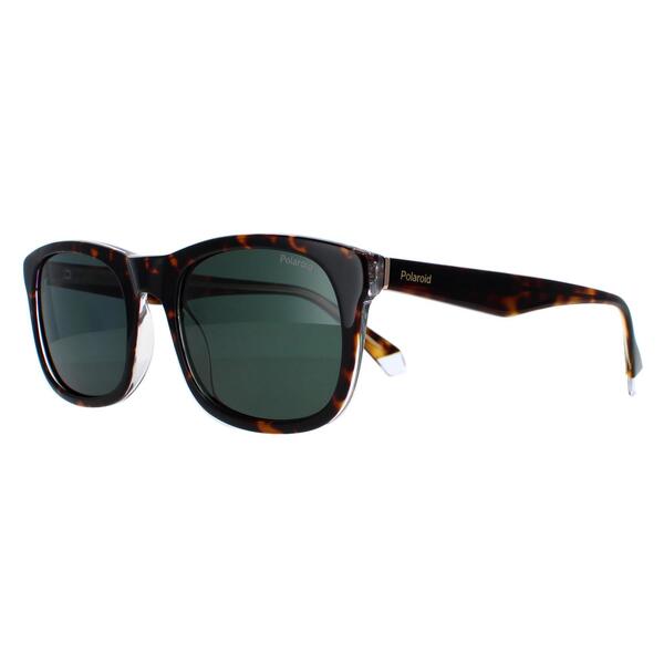 Polaroid PLD 2104/S/X brown men sunglasses, UK version