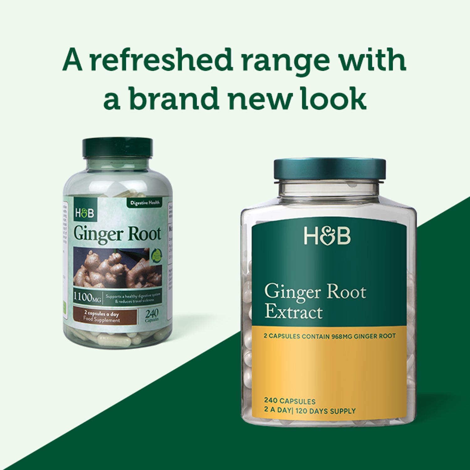 Holland & Barrett ginger root extract capsules 240 count, UK version