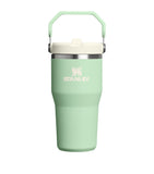 Stanley Iceflow Flip Straw Tumbler 0.6L (British brand)