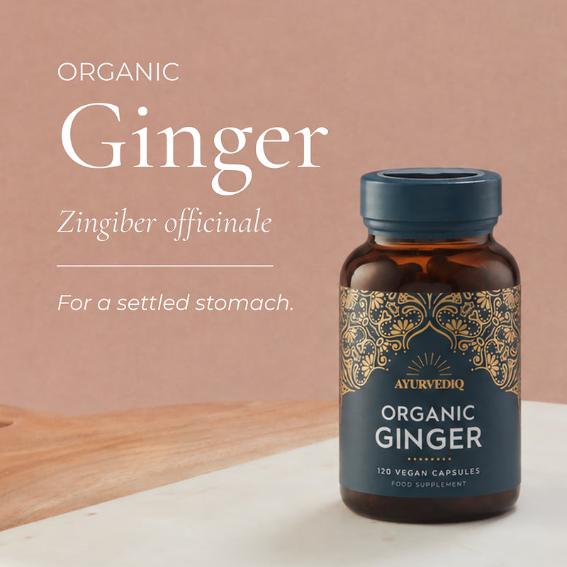 Ayurvediq organic ginger capsules 120 count (British brand)