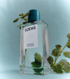 LOEWE Perfumes Incense room spray 100ml (British brand)
