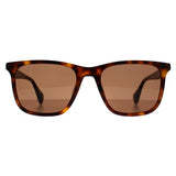 Ted Baker Jacobe Brown sunglasses, imported from the UK
